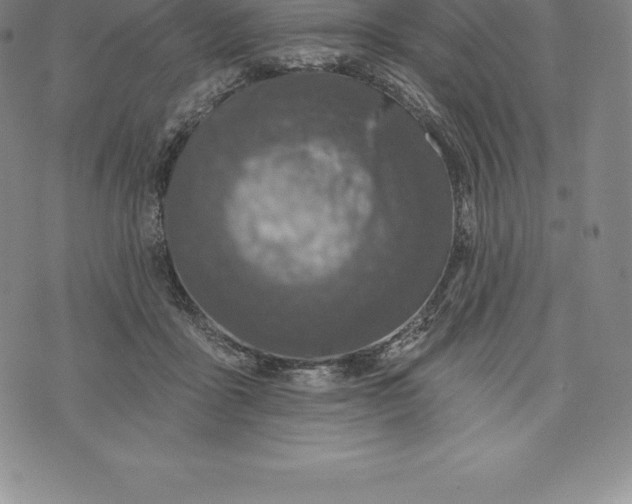 X0000076300411200610161558