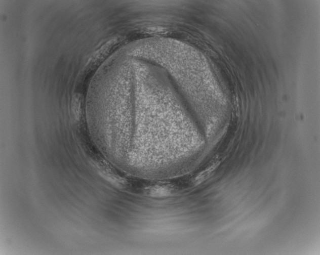 X0000076300412200610161558