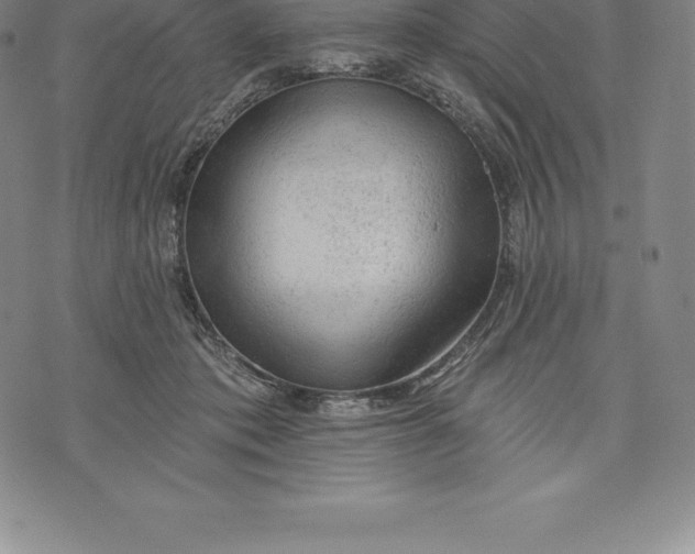 X0000076300413200610161558