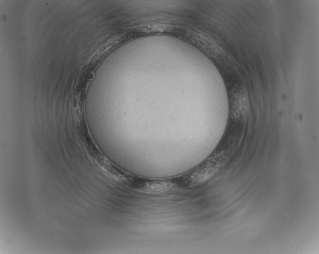 X0000076300414200610161558