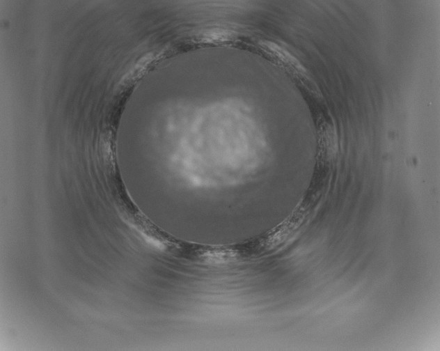 X0000076300415200610161558