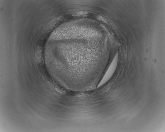 X0000076300416200610161558