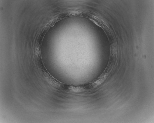 X0000076300417200610161558