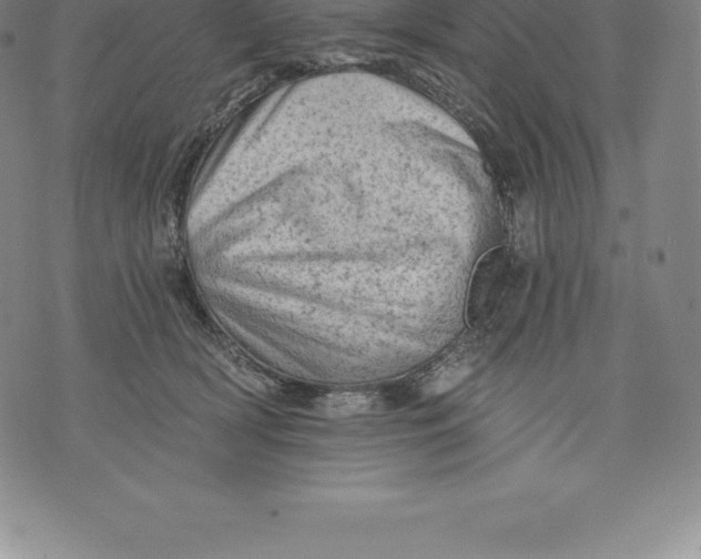 X0000076300418200610161558