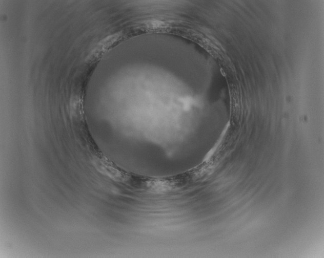 X0000076300419200610161558