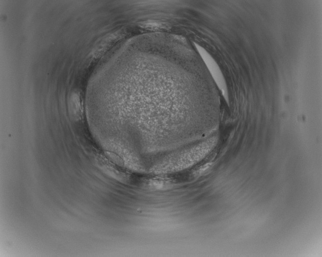 X0000076300420200610161558