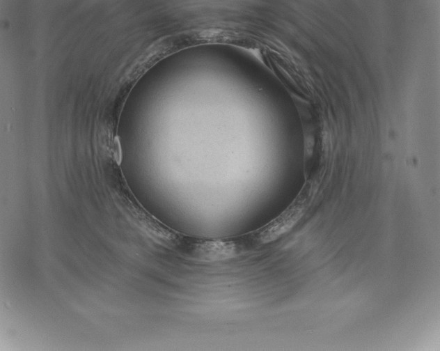 X0000076300421200610161558