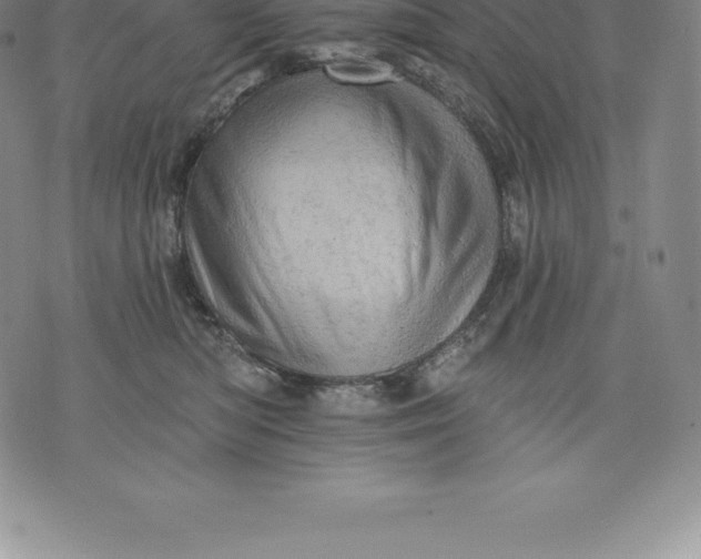 X0000076300422200610161558