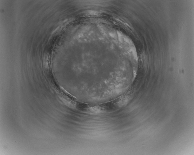 X0000076300423200610161558