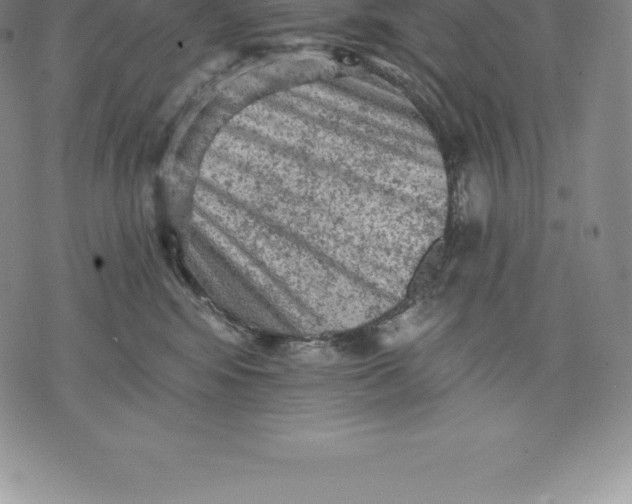 X0000076300424200610161558