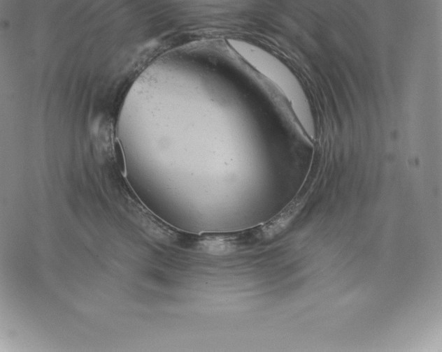 X0000076300425200610161558