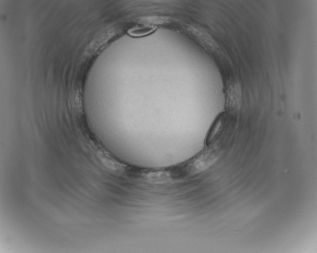 X0000076300426200610161558