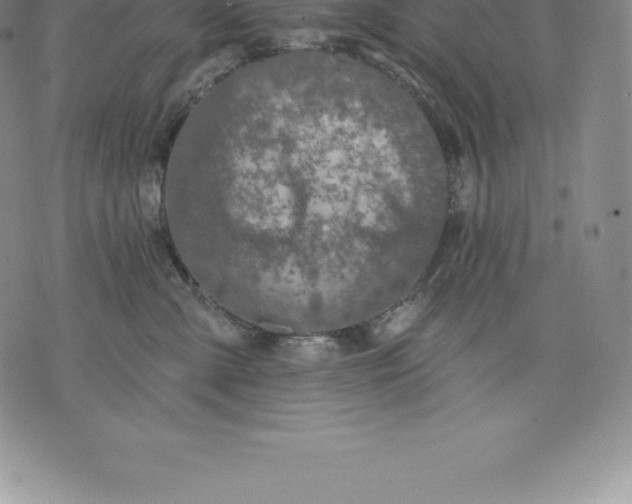 X0000076300427200610161558