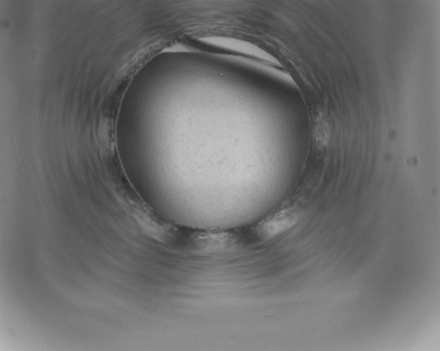 X0000076300428200610161558