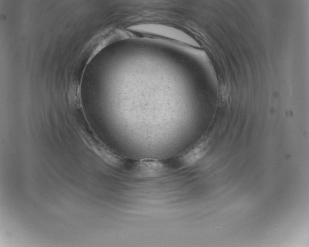 X0000076300429200610161558