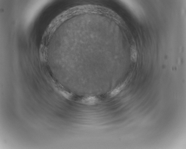 X0000076300431200610161558