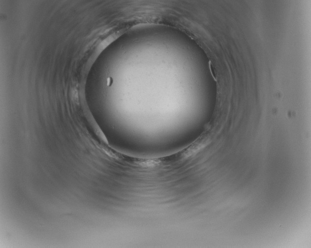 X0000076300432200610161558