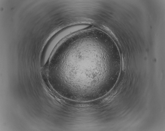 X0000076300435200610161557