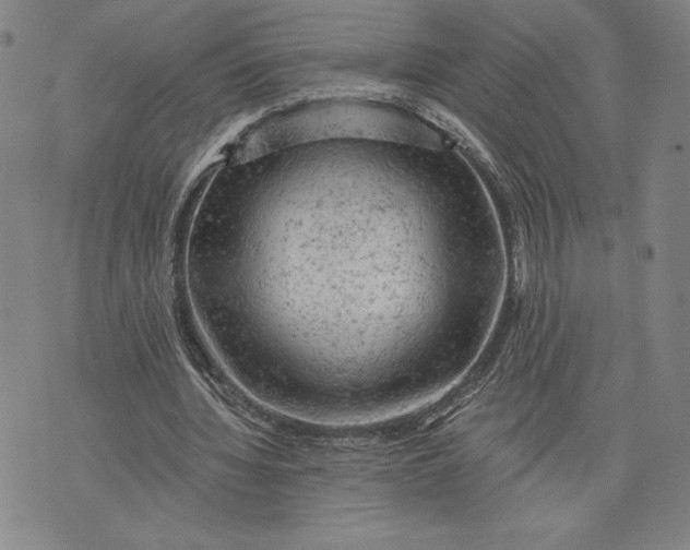 X0000076300436200610161557