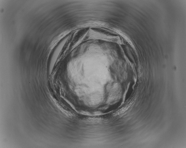 X0000076300437200610161557