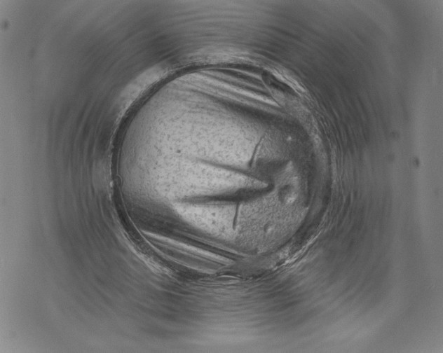 X0000076300438200610161557