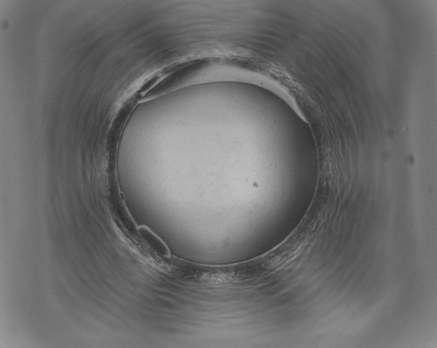 X0000076300440200610161557