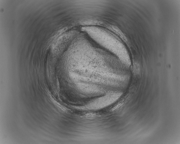 X0000076300441200610161557