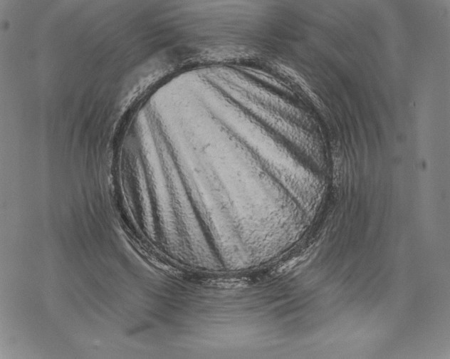 X0000076300443200610161557