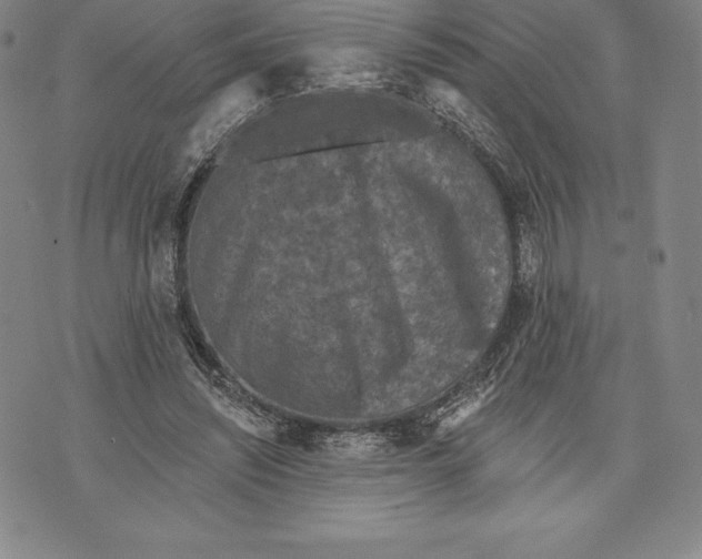 X0000076300444200610161557