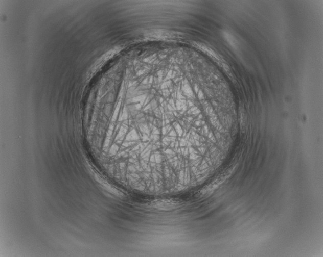 X0000076300445200610161557