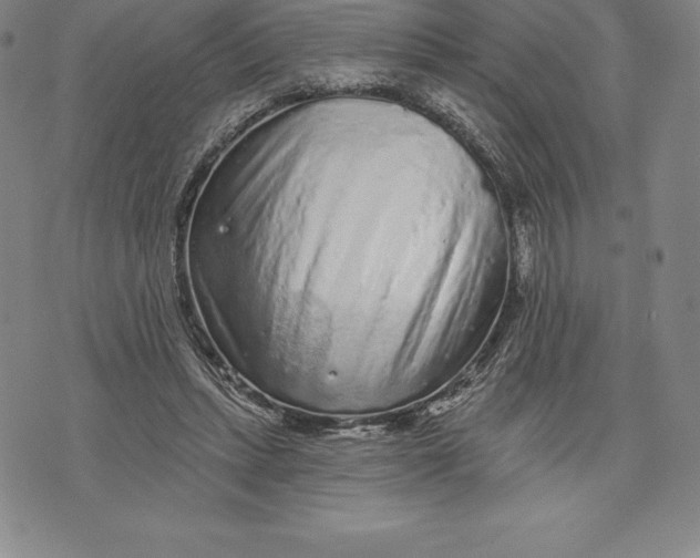 X0000076300447200610161557