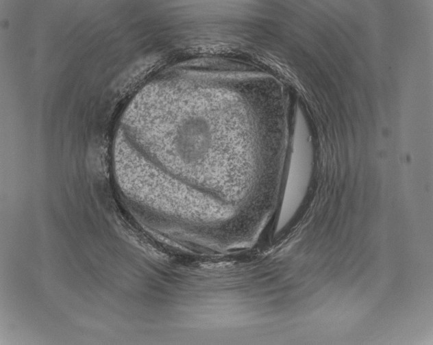 X0000076300450200610161557