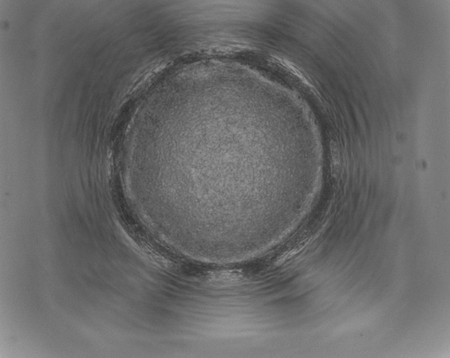 X0000076300451200610161557