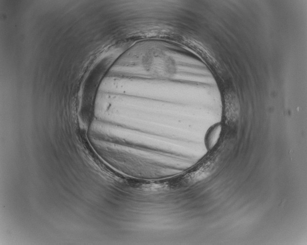 X0000076300453200610161558