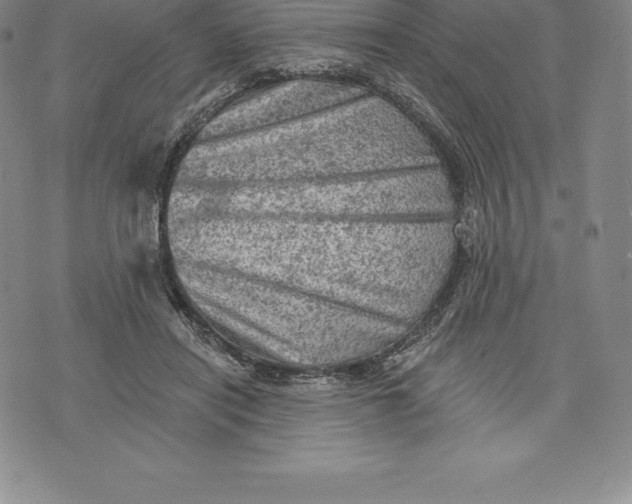 X0000076300454200610161558