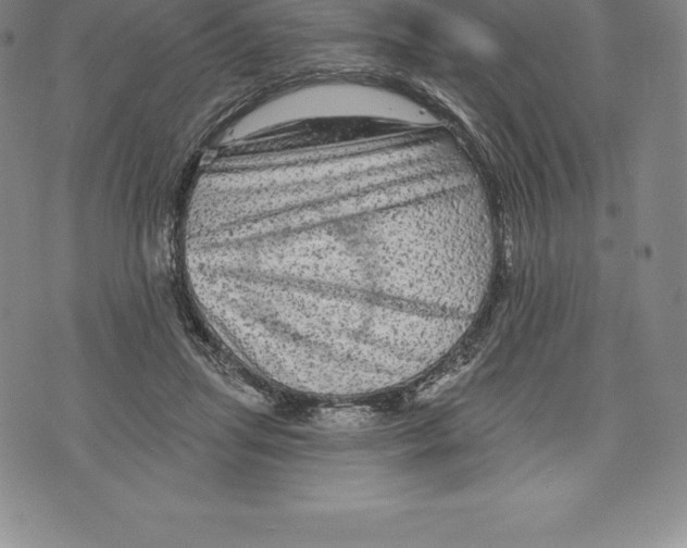 X0000076300455200610161558