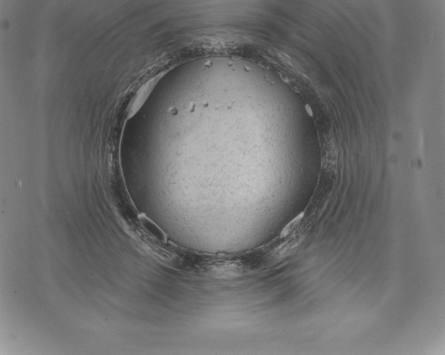 X0000076300456200610161558