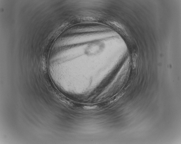 X0000076300457200610161558