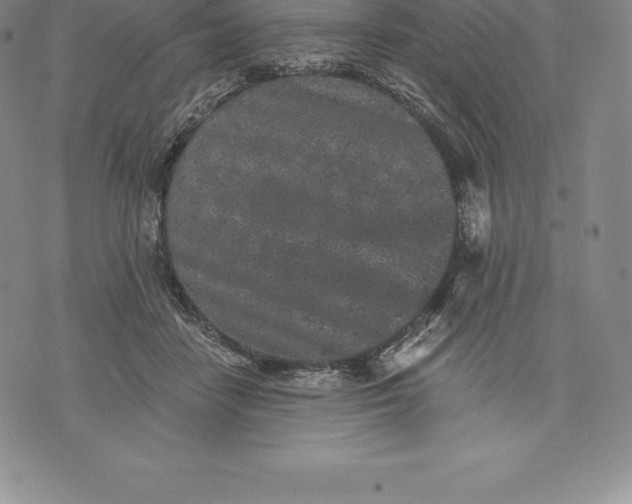 X0000076300458200610161558