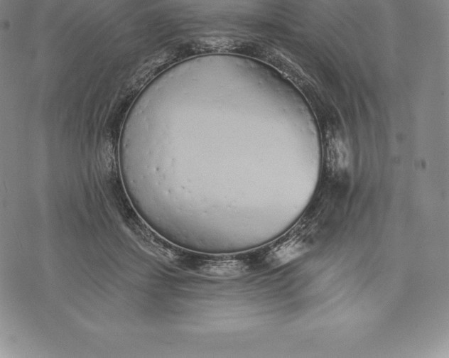 X0000076300459200610161558