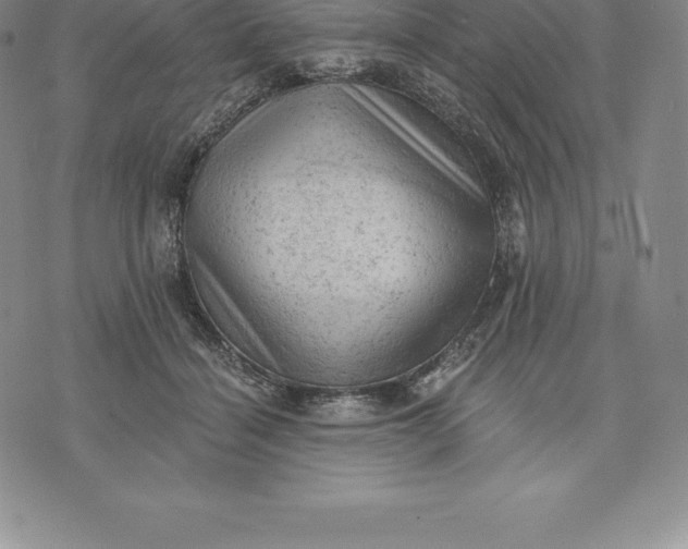 X0000076300460200610161558