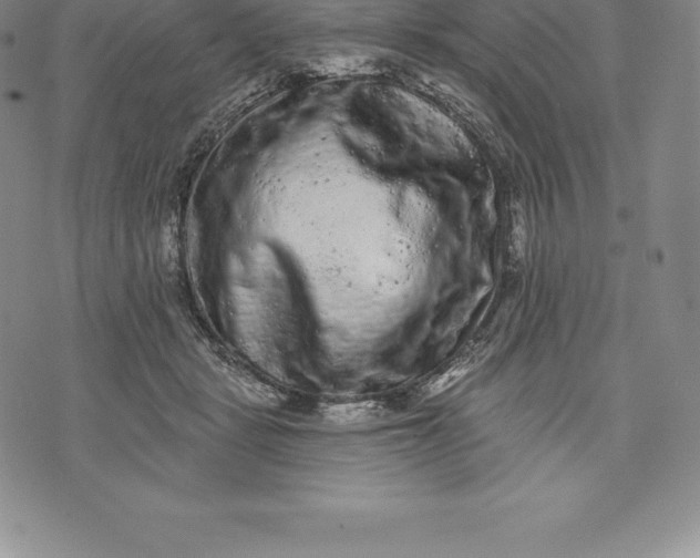 X0000076300461200610161558