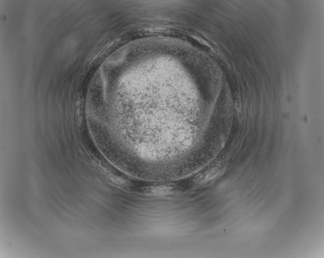 X0000076300462200610161558