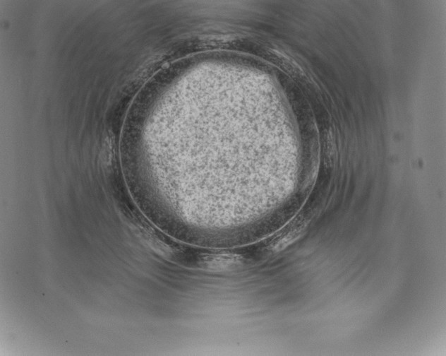 X0000076300463200610161558