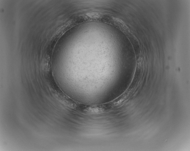 X0000076300464200610161558