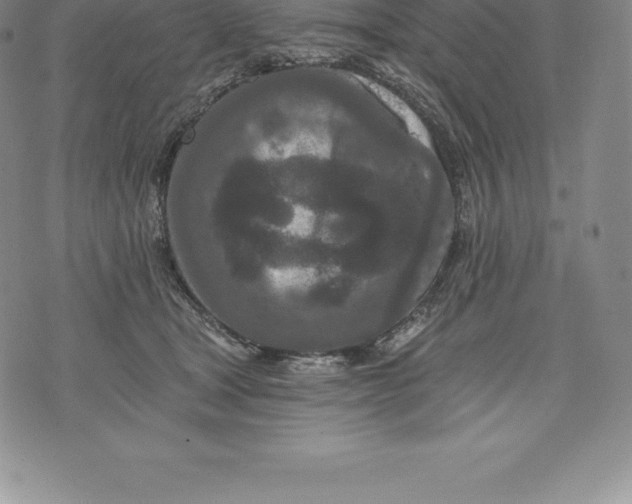 X0000076300465200610161558