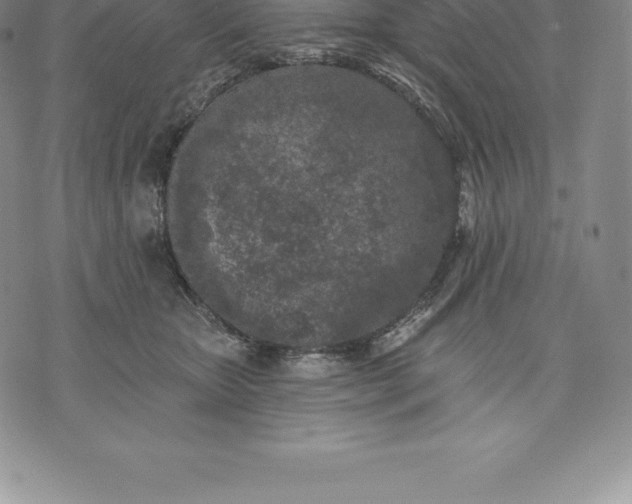 X0000076300467200610161558