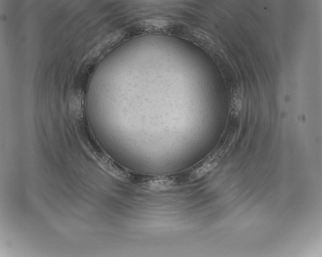 X0000076300468200610161558