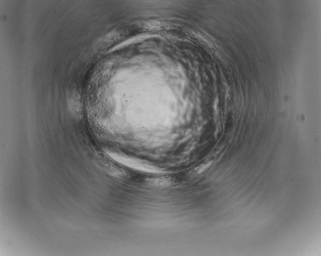 X0000076300469200610161558