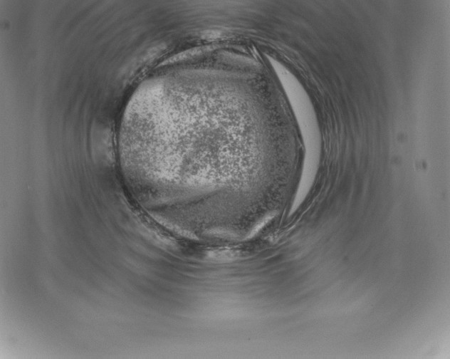 X0000076300470200610161558